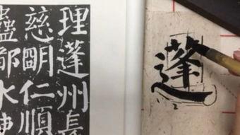 性书法表演视频,一场视觉与艺术的独特融合