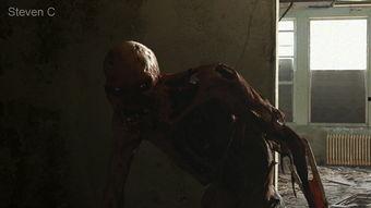 丧尸爬视频,揭秘病毒蔓延下的恐怖世界