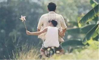 好父亲视频,育儿路上的榜样与智慧