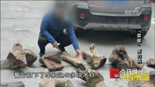 抓木头视频,惊险刺激的极限运动瞬间