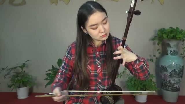 龙韵二胡视频,传承与创新的艺术之旅