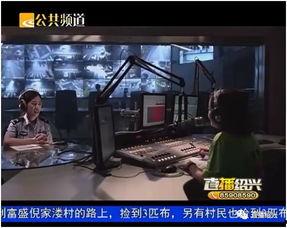 绍兴视频新闻,传承与创新交织的古城新篇