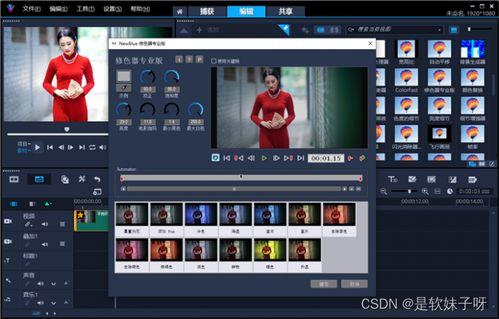 会声会影视频调色,会声会影视频调色技巧全解析