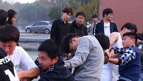 学校性视频,探索学校性视频中的青春记忆