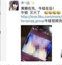 成人视频a片,揭秘A片背后的故事与影响